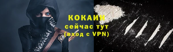 индика Балахна